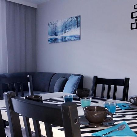 Apartament Wiktoria Устрики-Долішні Екстер'єр фото